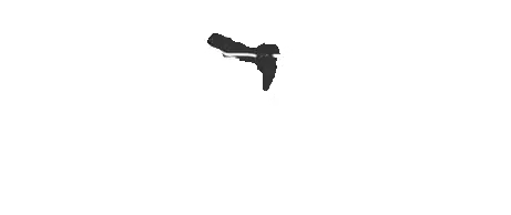 Logo principal